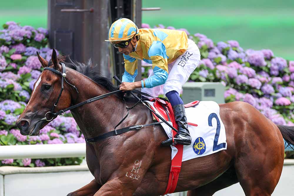Mr Incredible and Karis Teetan aiming for a SHa Tin win