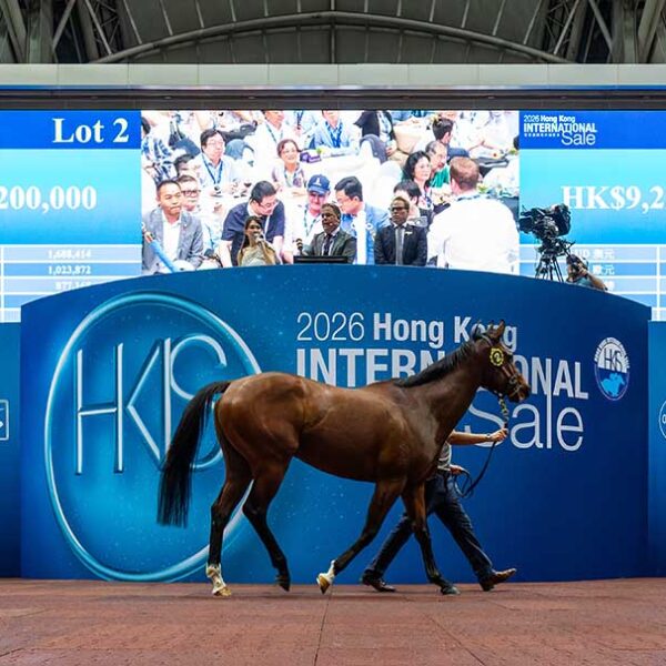 Deep Field gelding tops Hong Kong International Sale