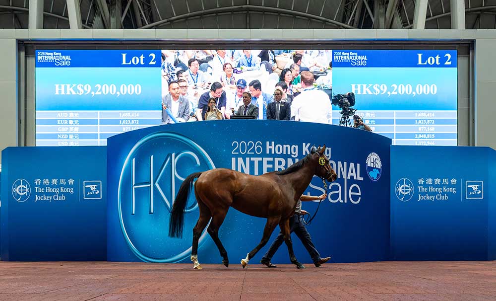 Deep Field gelding tops Hong Kong International Sale