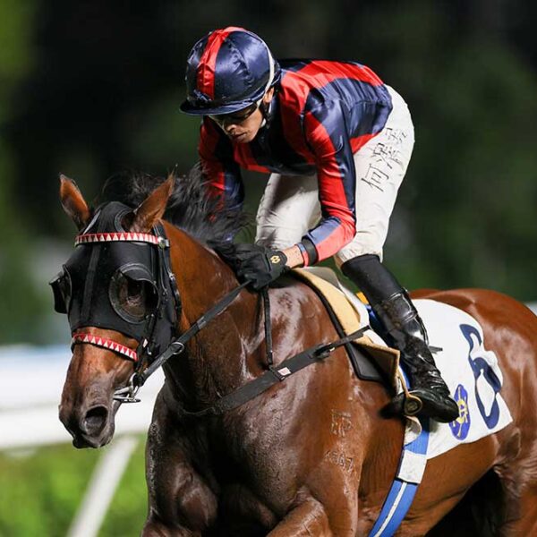 Victor Supreme wins in Hong Kong