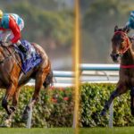 Ka Ying Rising & Romantic Warrior