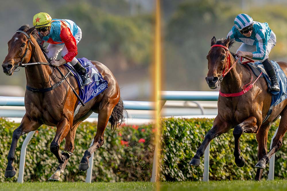 Ka Ying Rising & Romantic Warrior