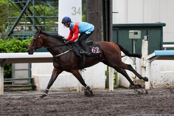 ka Ying Rising and Zac Purton