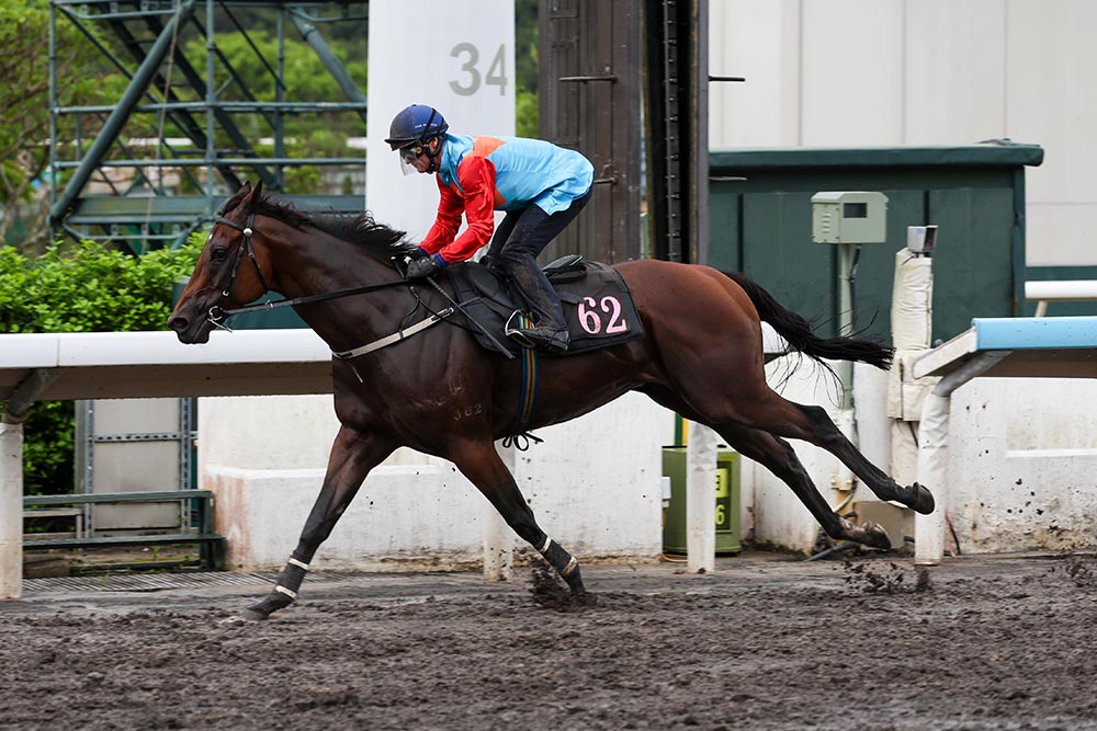 ka Ying Rising and Zac Purton