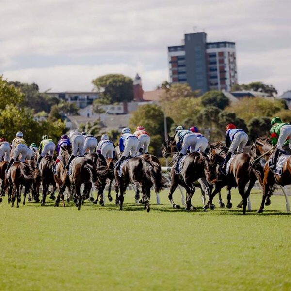 NZ racing news