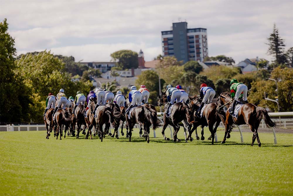 NZ racing news