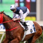 Fast Network set for two race mission in Japan