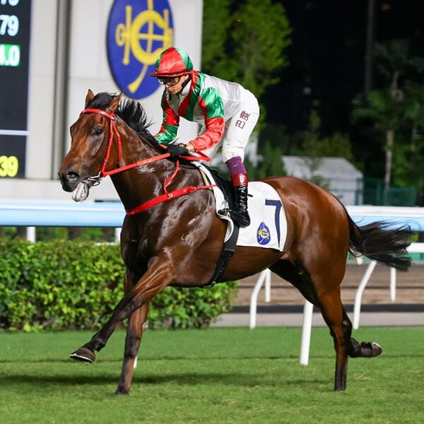 Solid State has impressed in his stint in Hong Kong