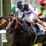 Invincible Ibis makes stunning return to racing at Sha Tin on Sunday.