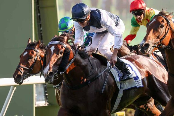 Invincible Ibis makes stunning return to racing at Sha Tin on Sunday.