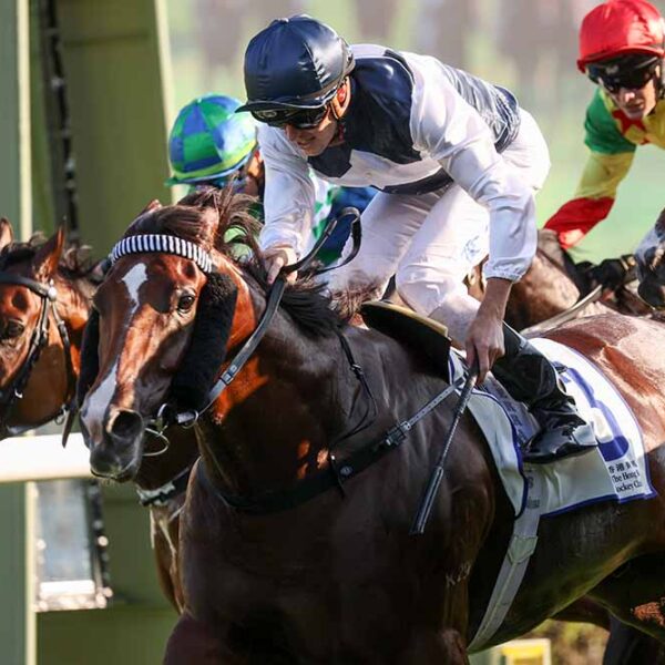 Invincible Ibis makes stunning return to racing at Sha Tin on Sunday.