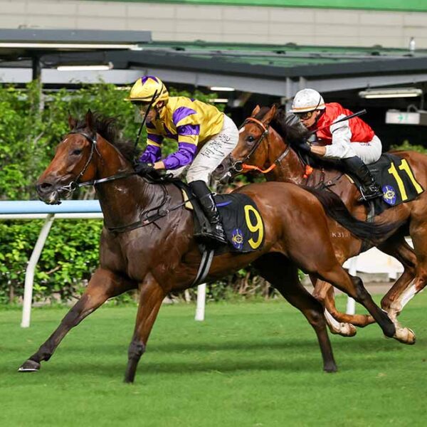 Le Zonda wins at Happy Valley on September 16