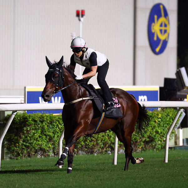 Ka Ying Rising in final Sha Tin hit-out