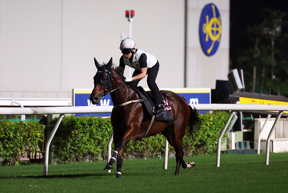 Ka Ying Rising in final Sha Tin hit-out
