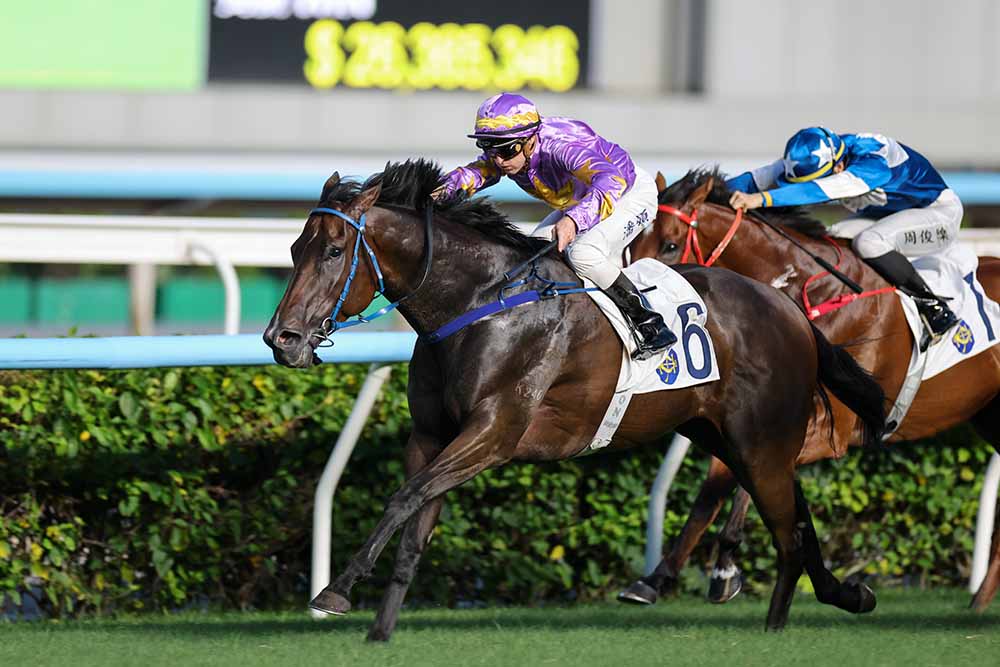 Zac Purton and Little Paradise