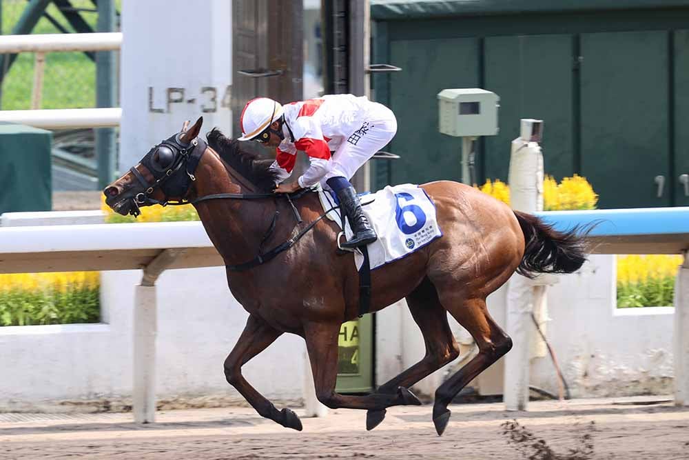 Definitive wins at Sha tin on October 4, 2026
