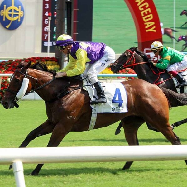 Colourful King salutes at Sha Tin on October 1, 2026