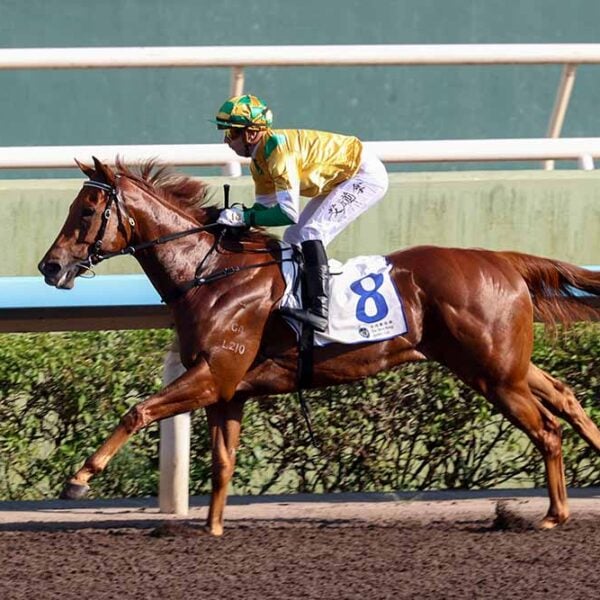 Bustling City and Brenton Avdulla winning at Sha Tin