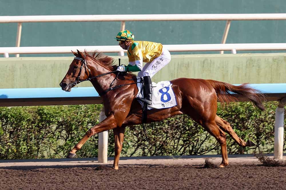 Bustling City and Brenton Avdulla winning at Sha Tin