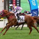 Stormy Grove primed for Monday