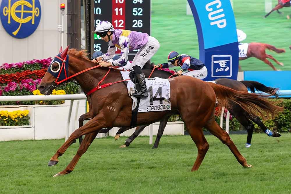 Stormy Grove primed for Monday