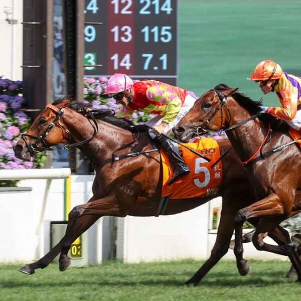My Wish wins the G1 FWD Champions Mile