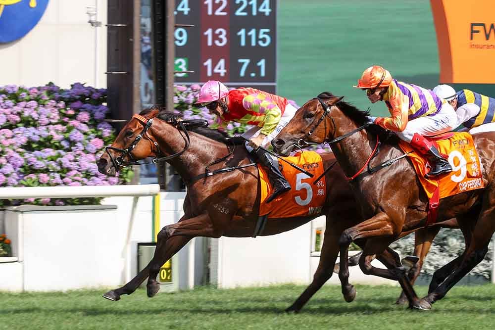 My Wish wins the G1 FWD Champions Mile