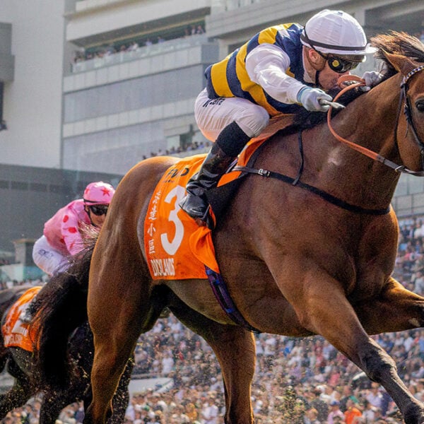 Docklands wins at Sha Tin