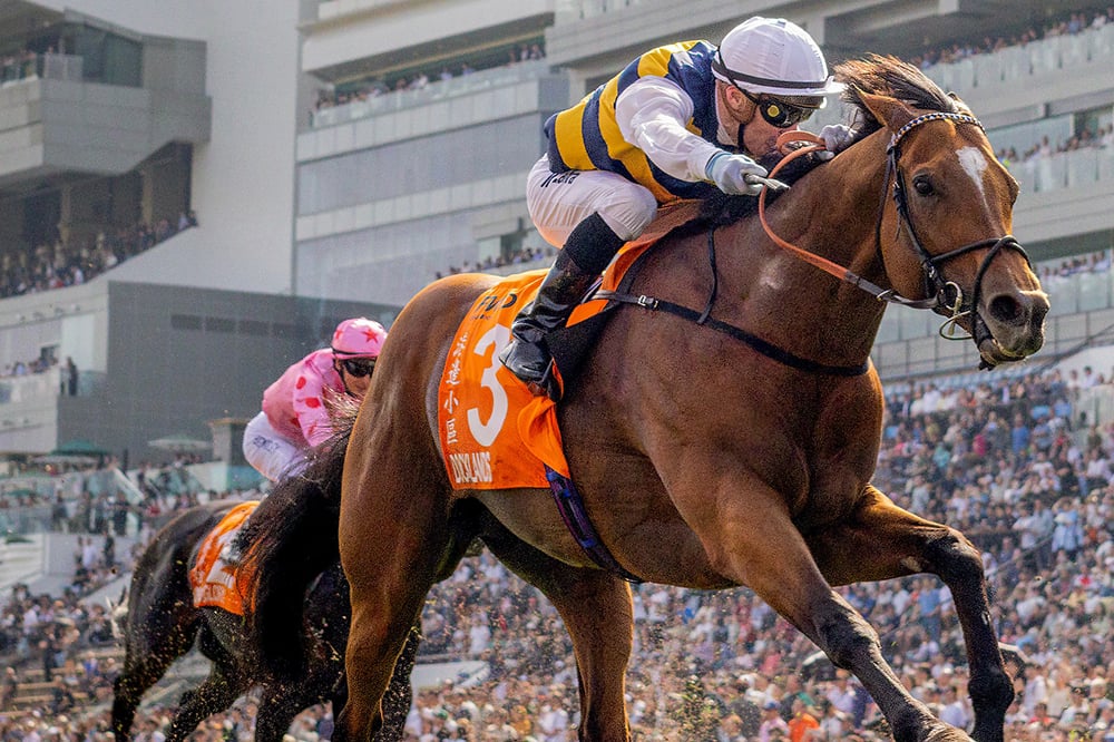 Docklands wins at Sha Tin