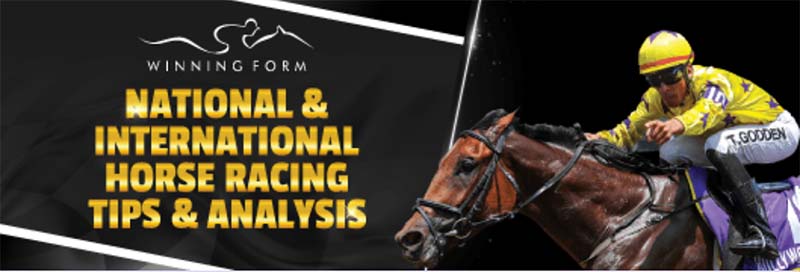 Hollywoodbets horse racing review