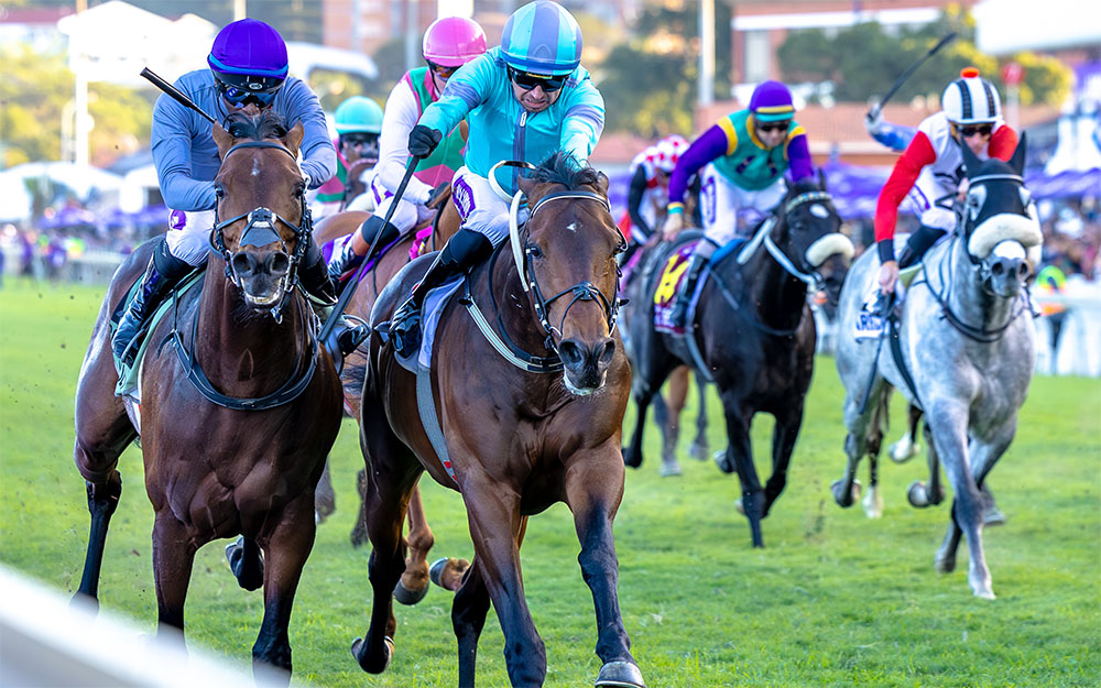 Oriental Charm wins 2024 durban July